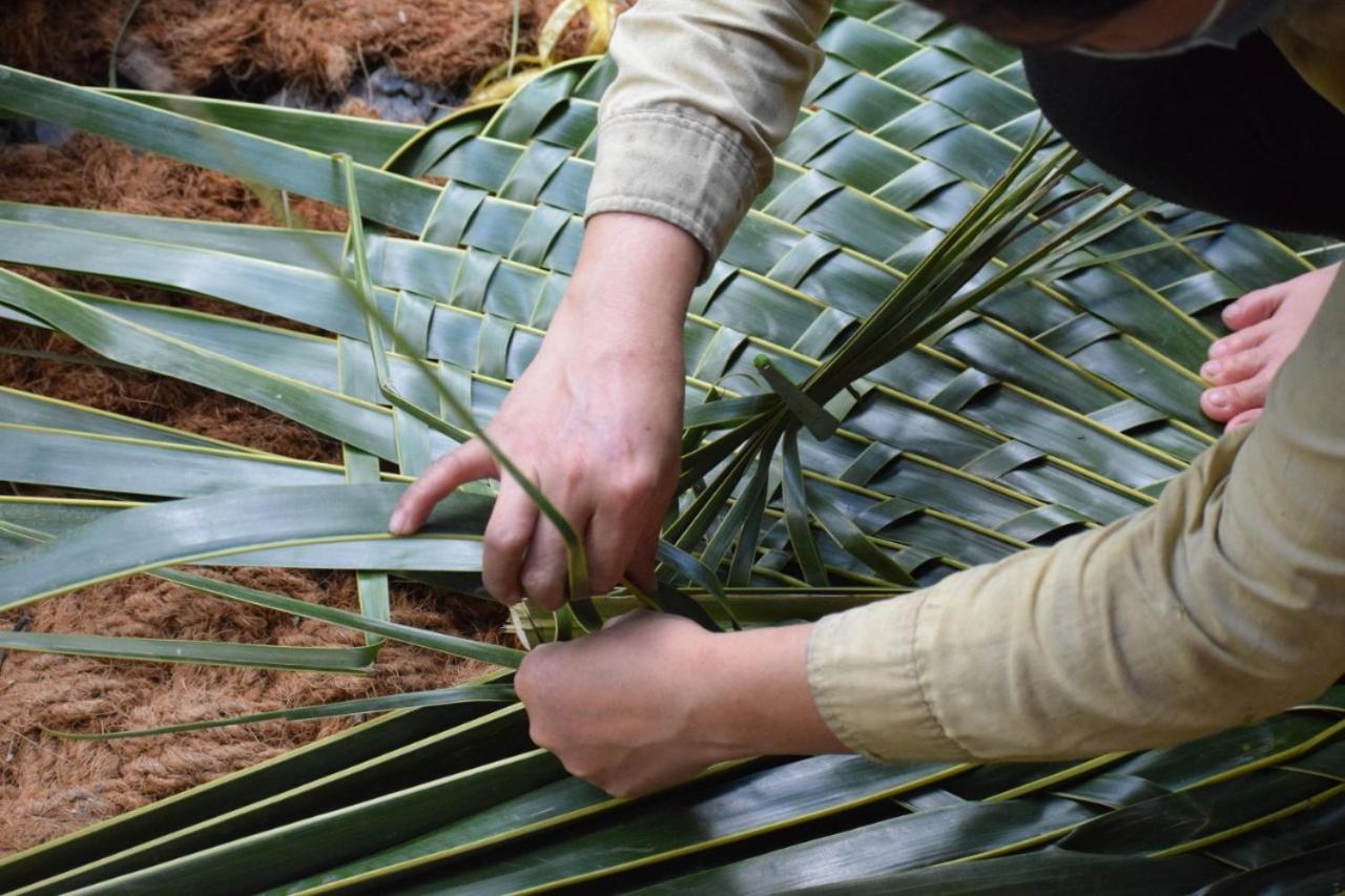 Ecoco Mekong *